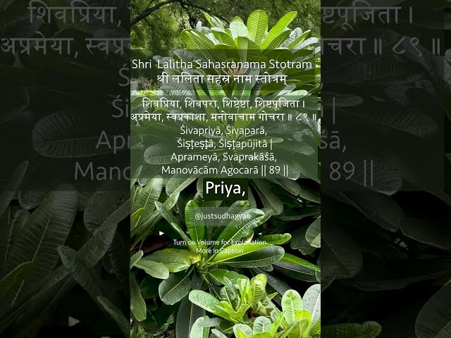 Shri Lalitha Sahasranamam Shloka 89 | शिवप्रिया शिवपरा | Powerful Chanting  |Just Sudha Gyan