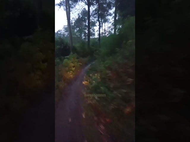 JALAN HUTAN GUYSSS...