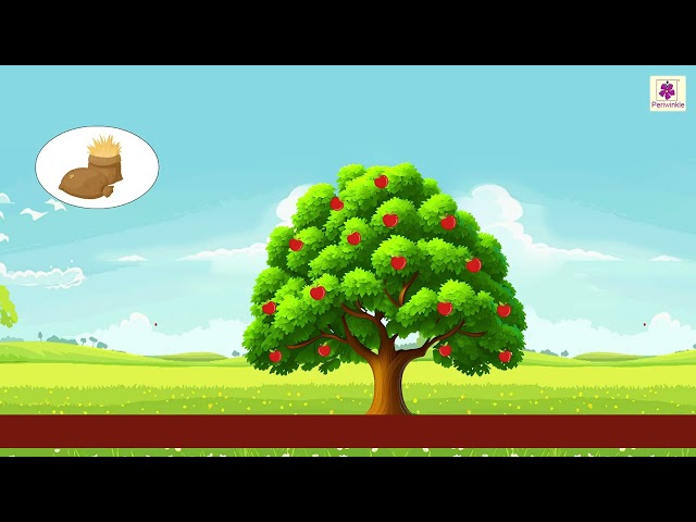 Pedon ki Leela | Priyadarshini Hindi Pathmala 3 | Periwinkle