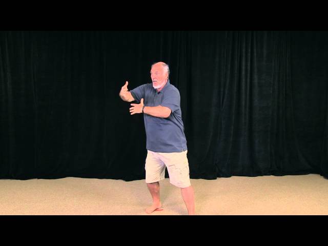Yang Tai Chi Internal Power Secrets
