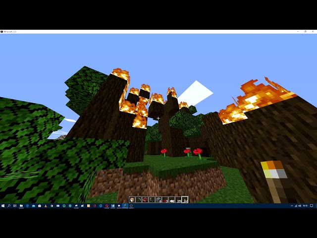 if 2b2t players tried speedrunning minecraft...