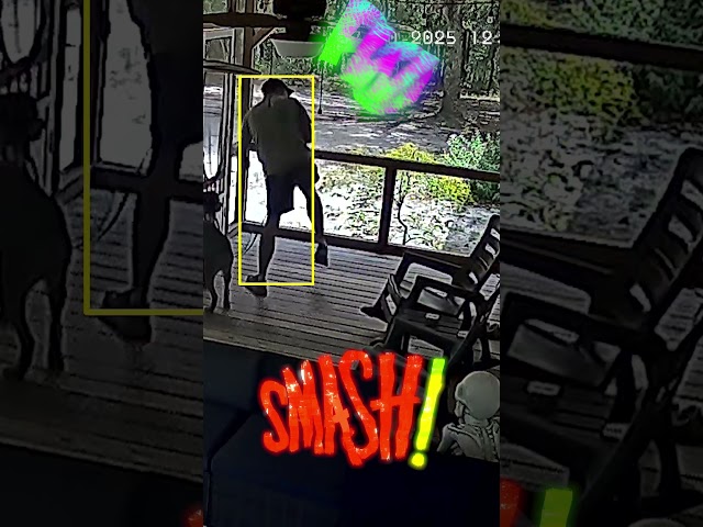 Barely Surviving Killer Bug Attack #comedy #shorts #dancemoves