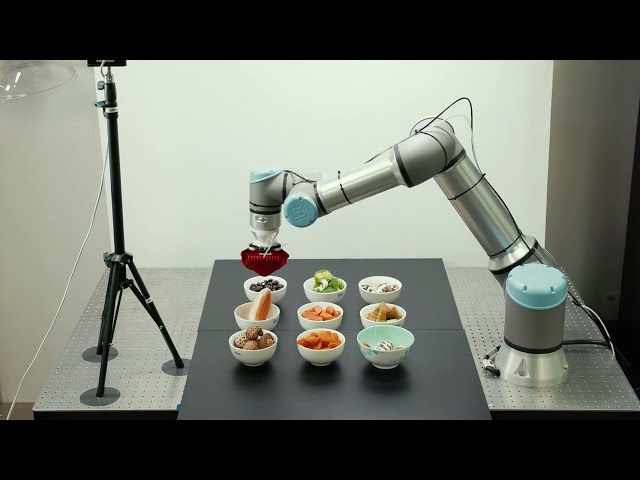 What is Embodied AI?