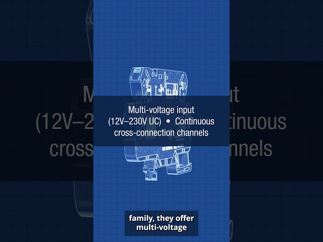 Automator's Edge | Weidmüller TERMSERIES-compact Klippon® Relay Modules