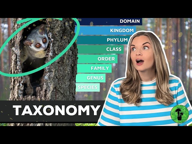 Taxonomy | Classification of Living Organisms