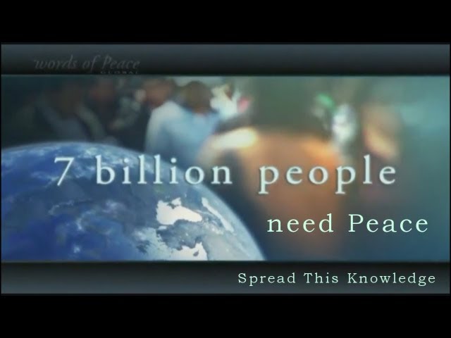 Spread This Knowledge (remix) ♪ ♫ ♥ :: Daya Rawat :: Amaroo