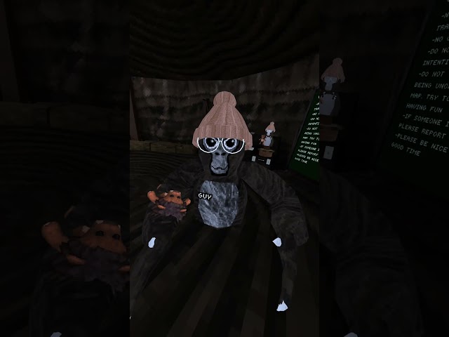 765 SUBS?? THIS IS INSANE #gorillatag #vr