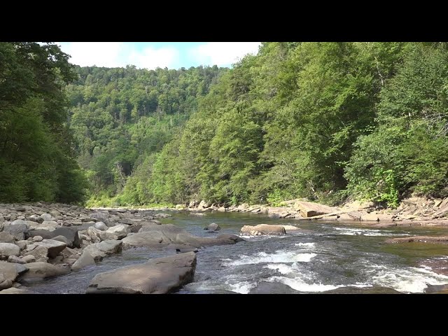 World's End State Park | On The Pennsylvania Road