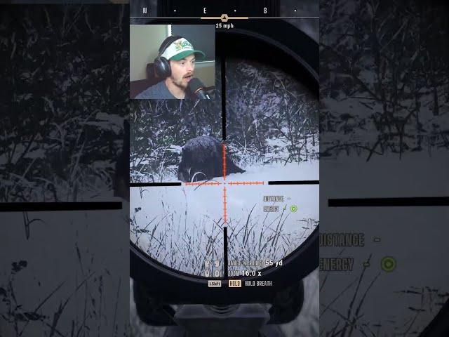First Wolf Taken In The Snow! #wayofthehunter2
