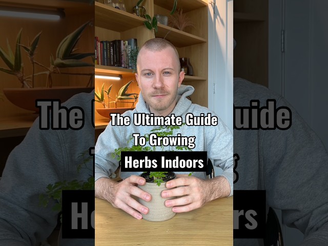 These 3 Plant Tips Will Help Keep Your Herbs Thriving Indoors All Year Long! #Herbs #Plants #Shorts