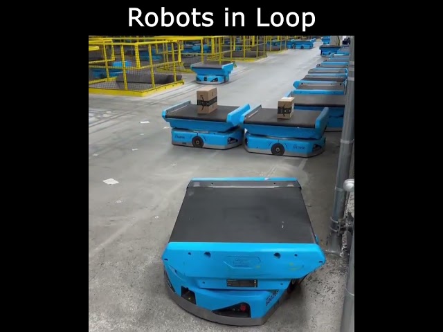 Robots in Loop