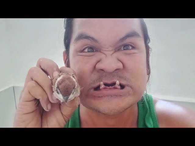 Ang bait nang ibon