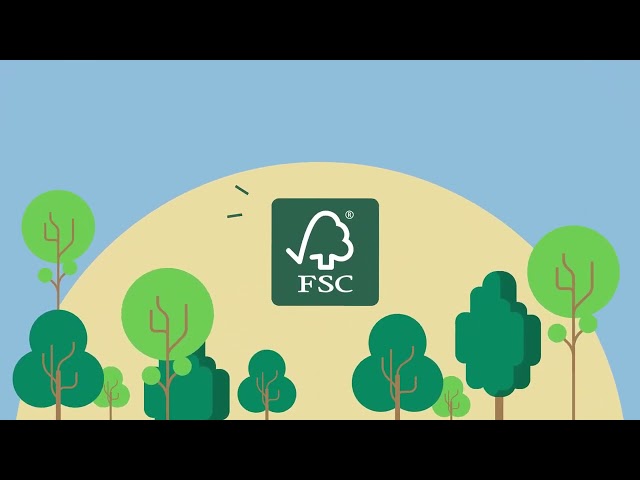 How Consumers Can Ensure Responsible Management of Tropical Forests with FSC
