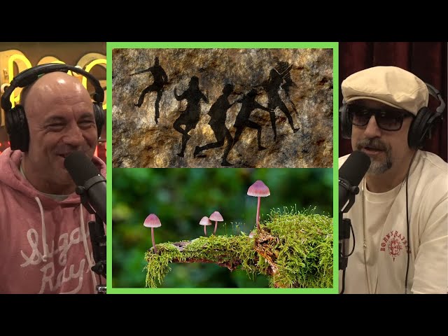 When Did Humans Start Taking Mushrooms & Should They Be legal??