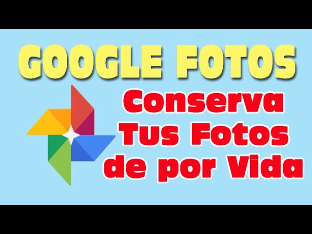 Google Photos: Delete them from your phone and keep them here, create an album, features
