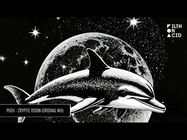 Push - Cryptic Vision