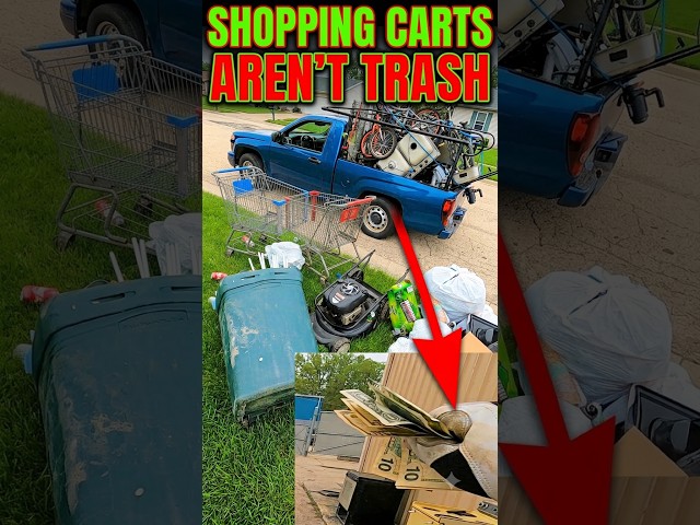 Shopping Carts In The Trash #scrapper #trashpicking