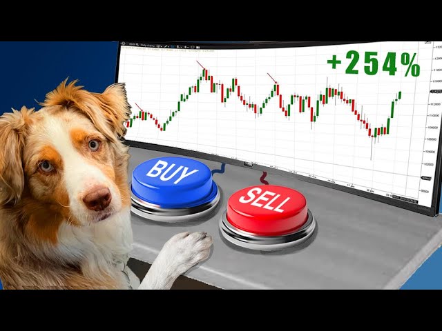 My Dog crushed a Forex Trader.. AT FOREX