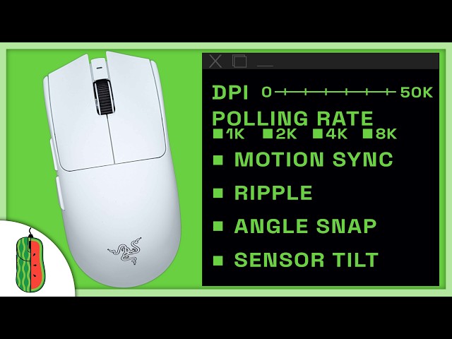 The ULTIMATE Guide To Mouse Settings ⚙️