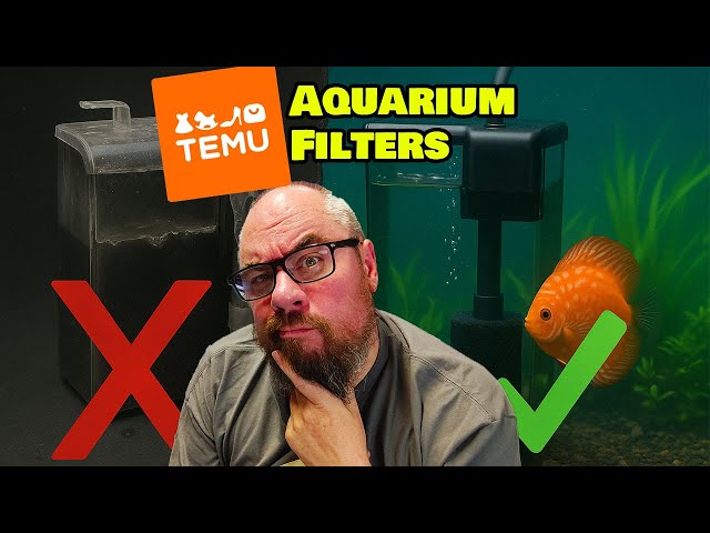 I’ve Tested Dozens of Temu Aquarium Filters – Here’s What Actually Works