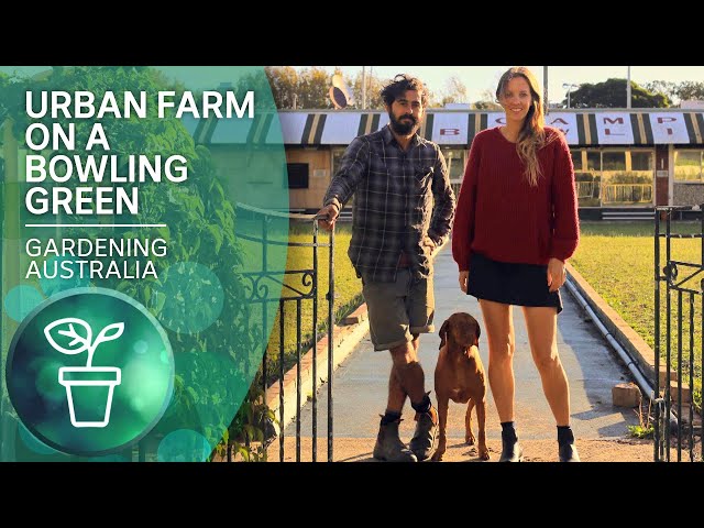 Urban farm planted on an old bowling green | Urban Farming | Gardening Australia