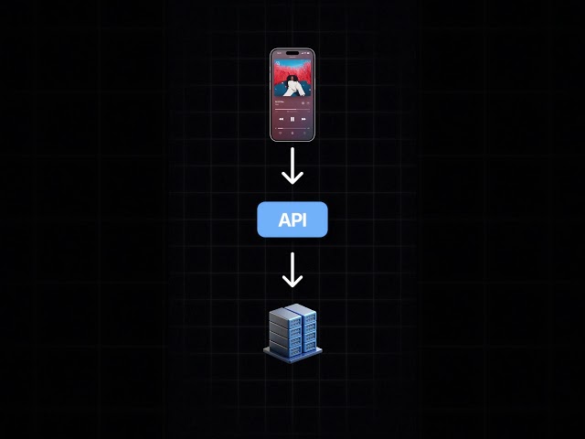 What Is an API? #api #coding #programming #backend