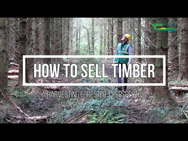 How to sell timber - a harvesting forester's perspective