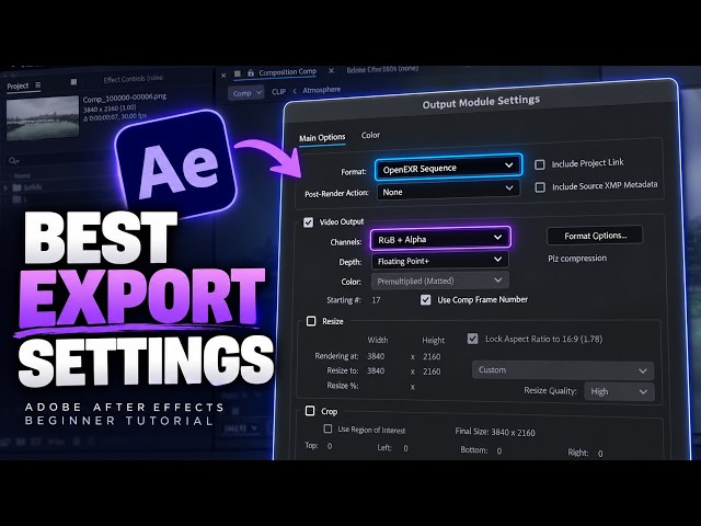 How to Export Videos in After Effects 2026 — H.264, ProRes & Alpha Channels