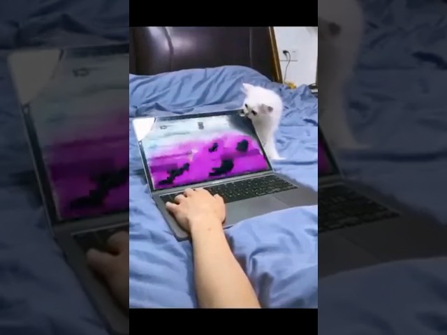 nothing personal