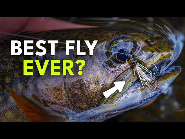 The Half-Baked Caddis Explained: When, Why, And How It Works