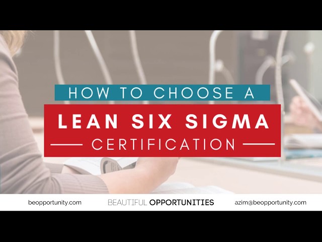 Intro to Lean Six Sigma Roles