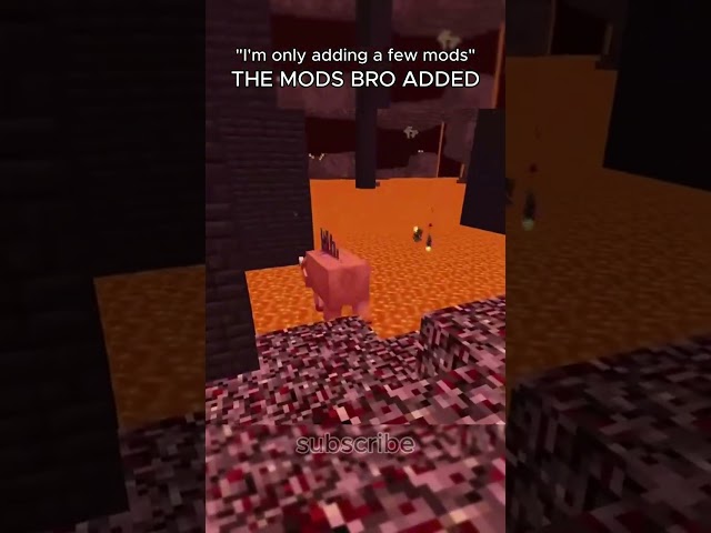 Minecraft Mods: Bro Edition