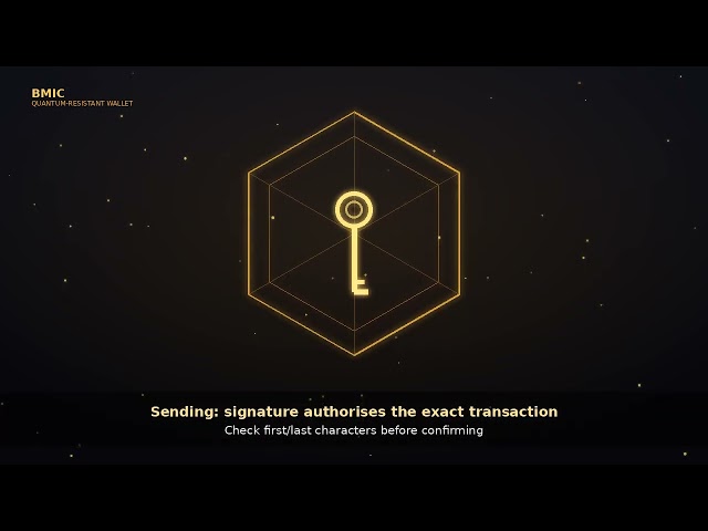 Best Crypto Presales: How to Buy Quantum Resistant BMIC Wallet