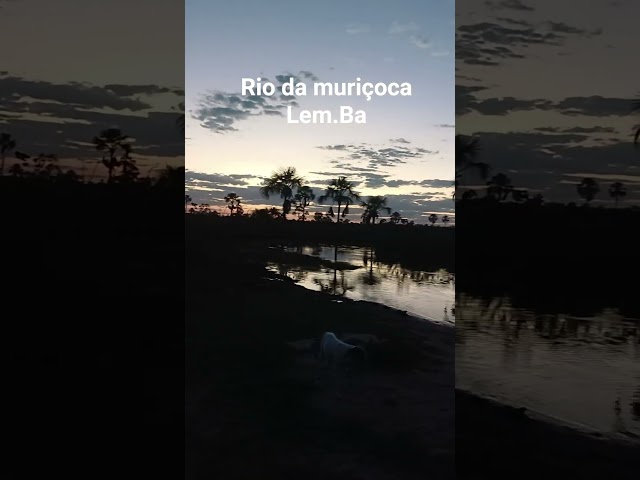 #viagem