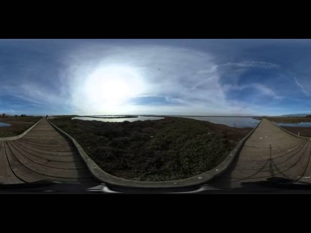 Don Edwards National Wildlife Refuge - sitting on the dock - 360 Sphere