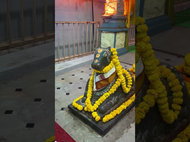 Sri Sesachala Lingeswara Swamy Temple | Kandhulavaripalli Shiva Temple | Divine Darshan🔱 #shorts