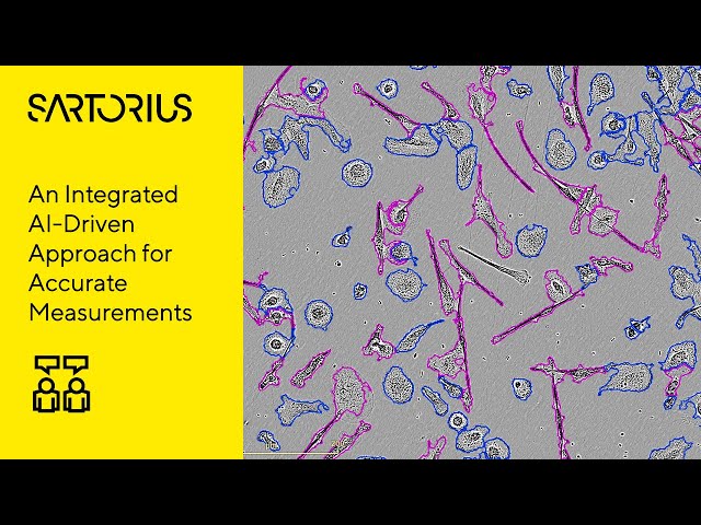 Label-Free Quantification of Cell Growth and Morphology Using AI and Advanced Data Analytics