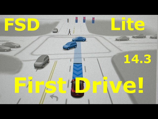 Tesla FSD 14.3 Lite - Will it fix our issue?