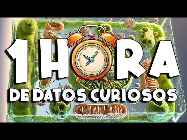 1 HOUR of non-stop FUN FACTS and THINGS YOU DIDN'T KNOW! ⏰😲1149 #curiomaniatv