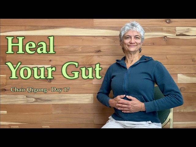 Digestive Health | Chair Qigong Day 17