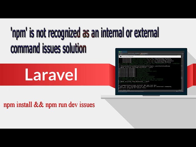 npm install && npm run dev not working issues solution