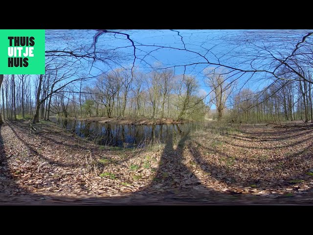 Het Amsterdamse Bos  | Thuisuitjehuis.nl | 360VR