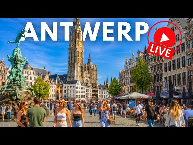 ANTWERP LIVE 🇧🇪 This Is Historic Antwerp | Cathedral, Old Streets & Scheldt at Sunset
