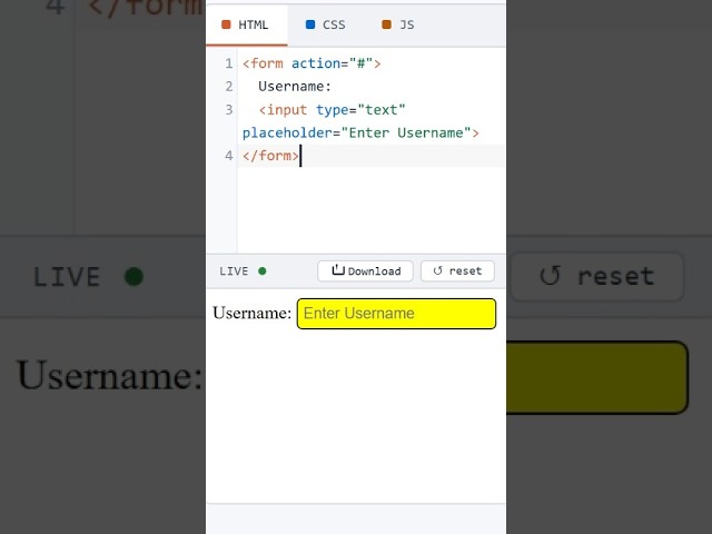 HTML Form Username Input Type #coding #htmltutorial