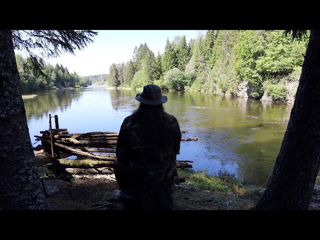 Real freedom lies in wildness