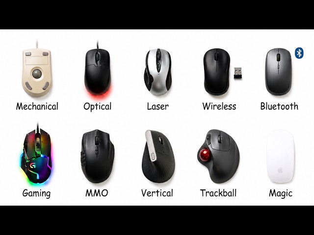 Every Mouse Type Explained in 7 Minutes