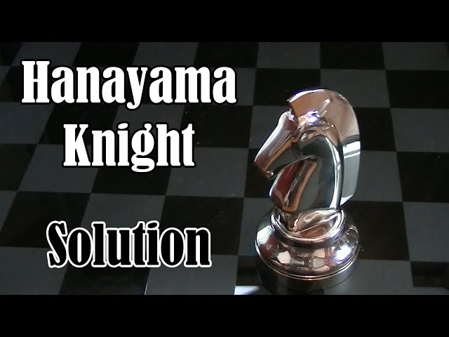 Hanayama Knight Puzzle (From Bepuzzled)