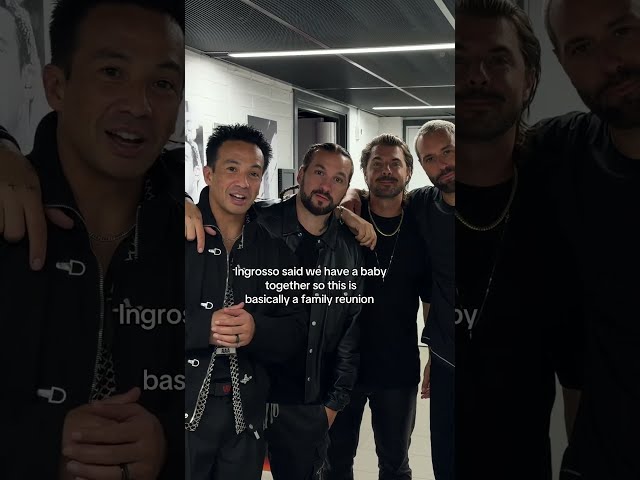 Ingrosso Said We Have a Baby Together | Laidback Luke