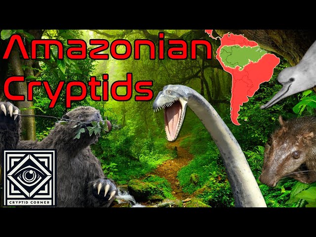 Cryptids from the Amazon | Hidden Creatures of the Jungle