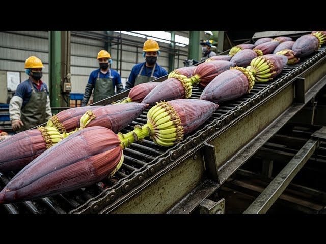 Inside a Rough, Old-School Banana Blossom Processing Factory You’ve Never Seen Before